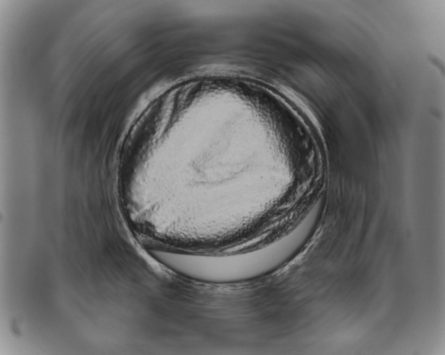 X0000096471437200802211139