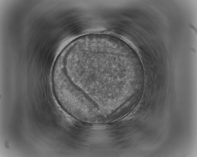 X0000096471440200802211139