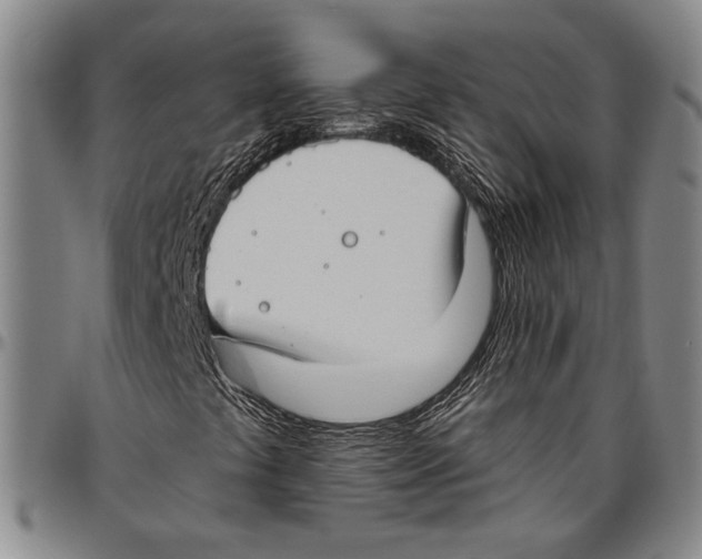 X0000096471441200802211139