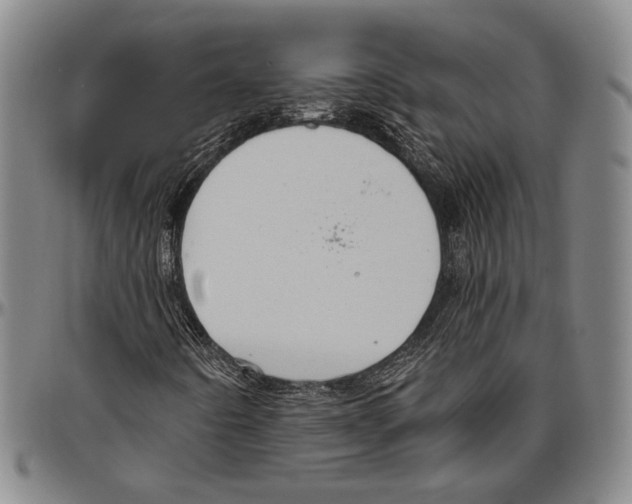 X0000096471442200802211139