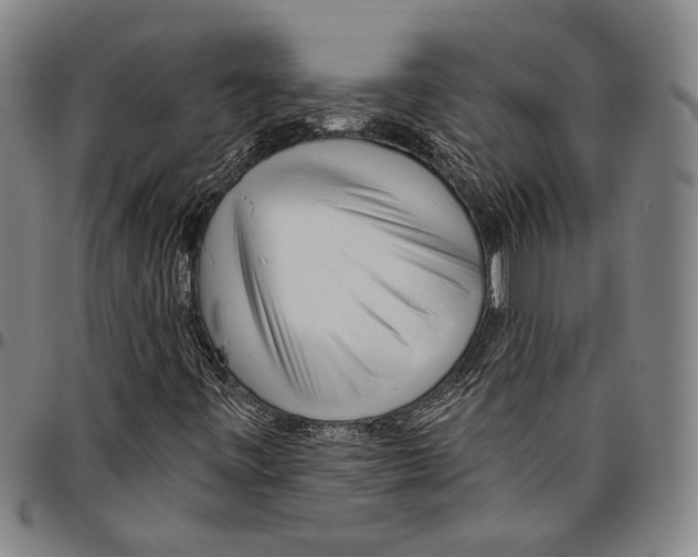 X0000096471443200802211139