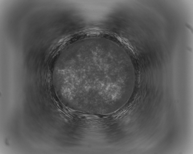 X0000096471445200802211139