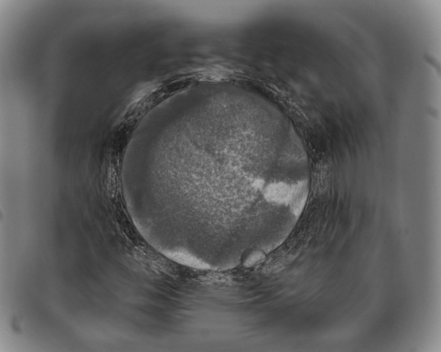 X0000096471446200802211139