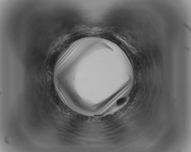 X0000096471447200802211139