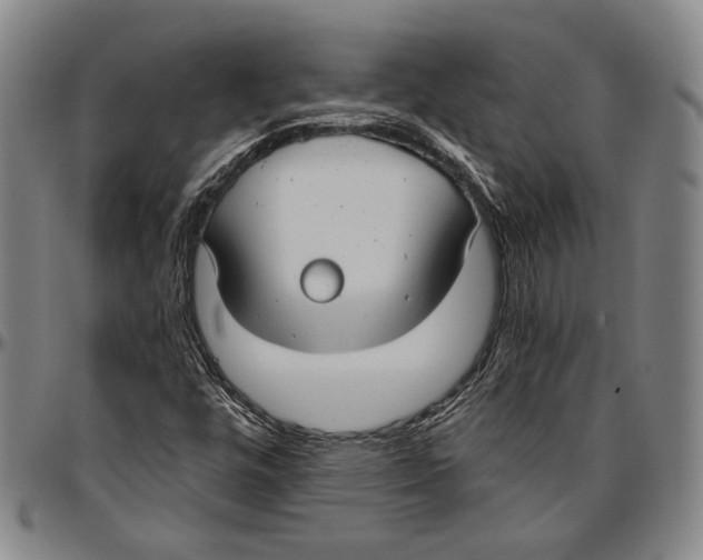 X0000096471448200802211139