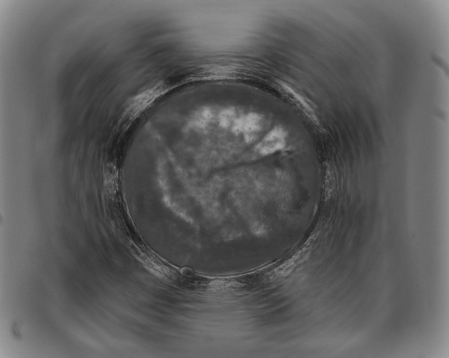 X0000096471449200802211139