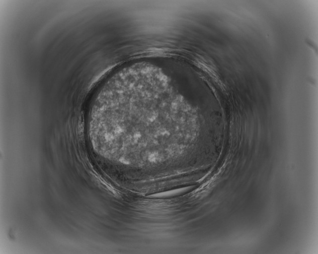 X0000096471450200802211139