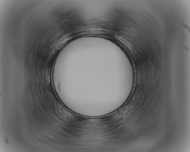 X0000096471451200802211139