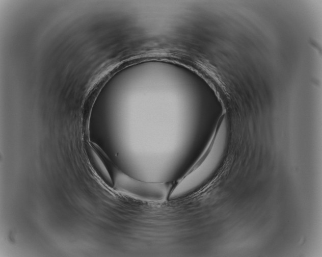 X0000096471452200802211138