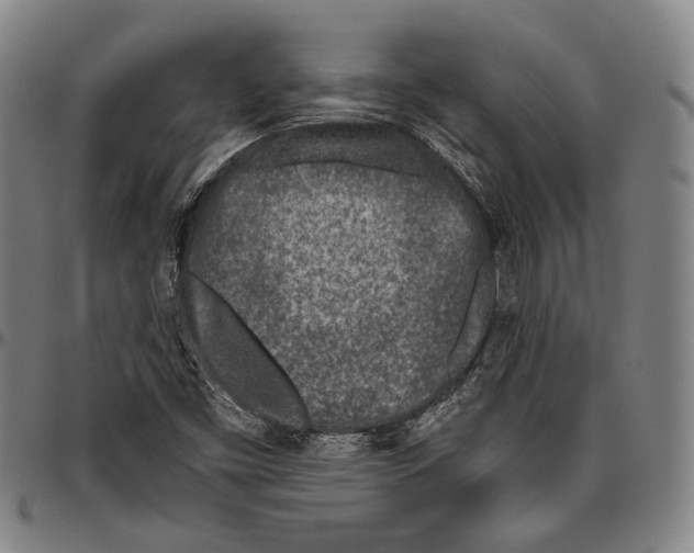 X0000096471453200802211138