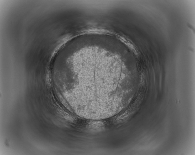 X0000096471454200802211138