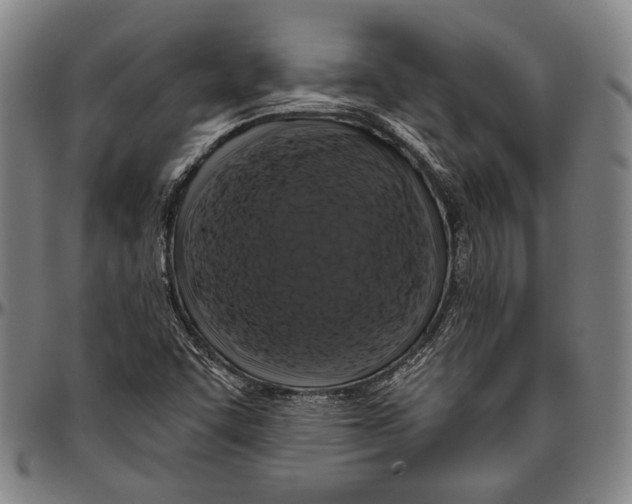 X0000096471455200802211138