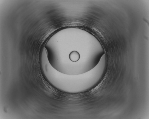 X0000096471457200802211138