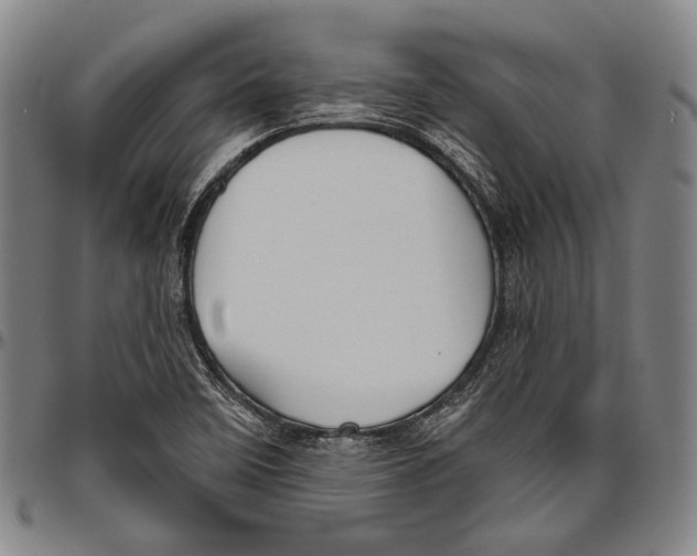 X0000096471458200802211138