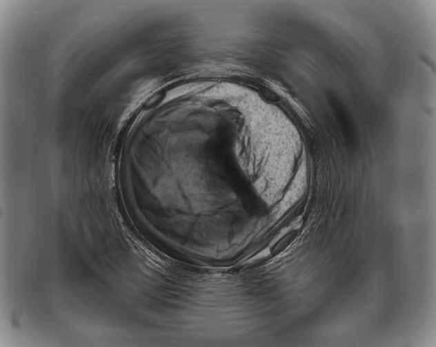 X0000096471459200802211138