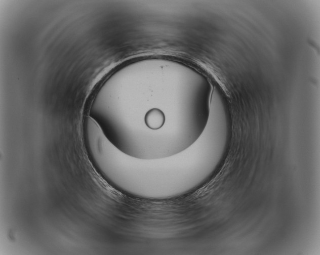 X0000096471460200802211138