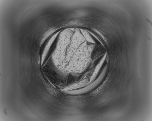 X0000096471461200802211138