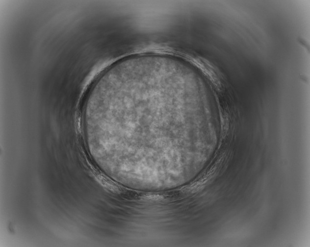 X0000096471462200802211138