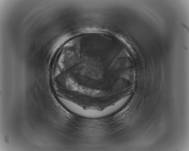 X0000096471463200802211138