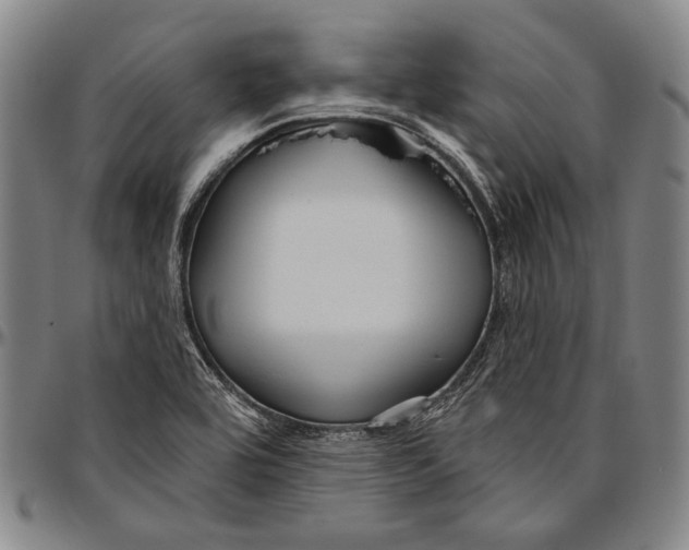 X0000096471464200802211138