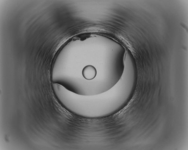 X0000096471465200802211138