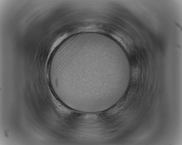 X0000096471466200802211138