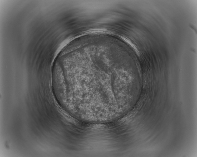 X0000096471467200802211138