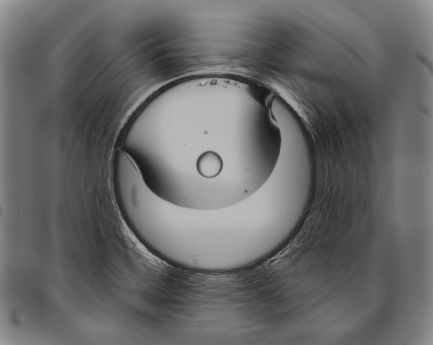 X0000096471468200802211138