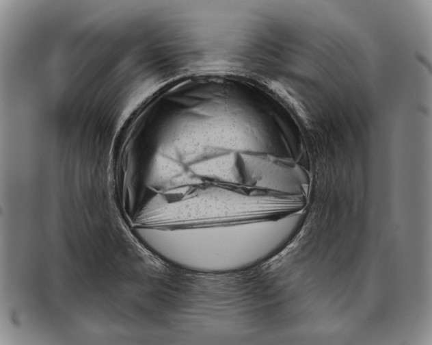 X0000096471469200802211138