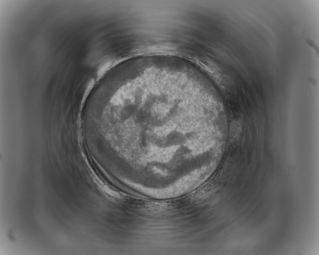 X0000096471470200802211138