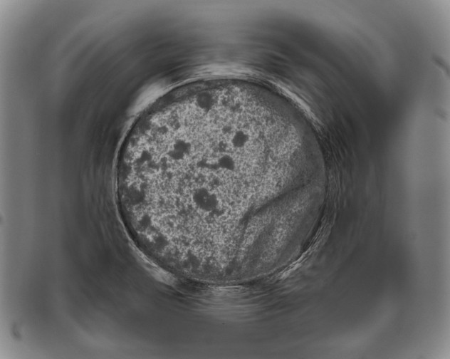 X0000096471471200802211138