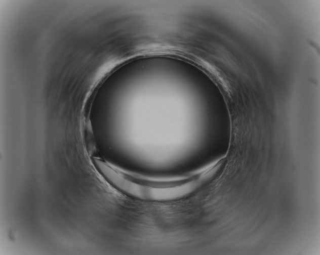 X0000096471472200802211138