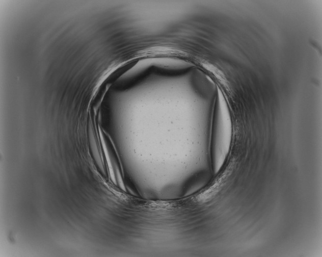 X0000096471473200802211138