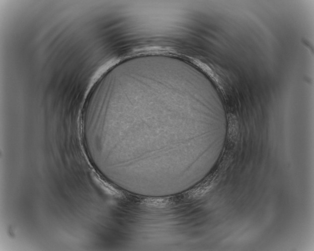 X0000096471474200802211138