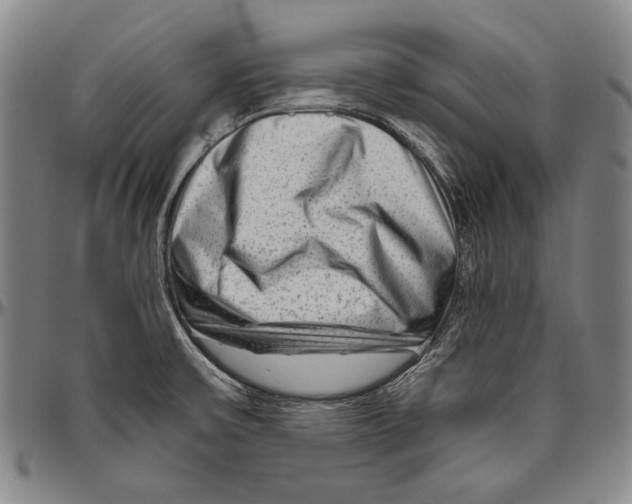 X0000096471475200802211138