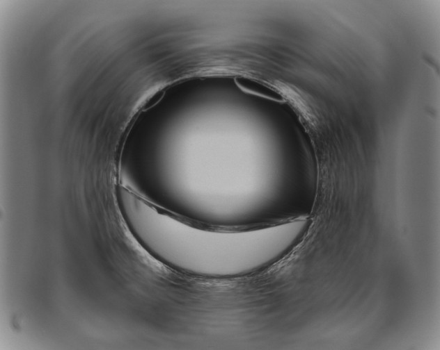 X0000096471476200802211138