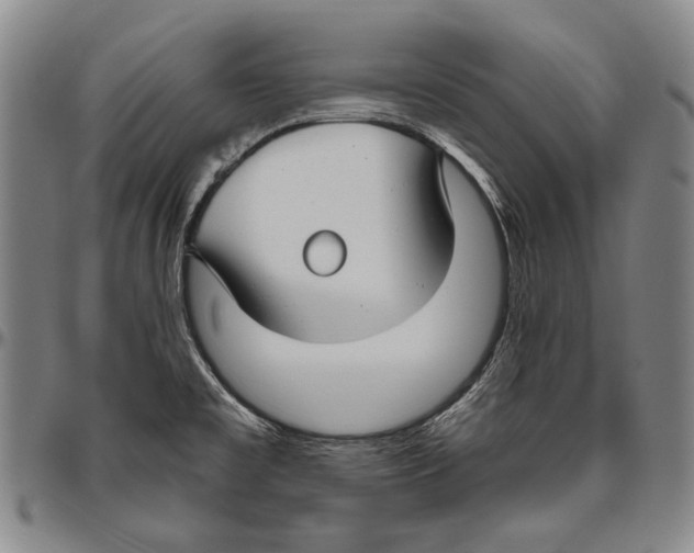 X0000096471477200802211138