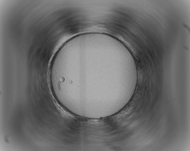 X0000096471478200802211138