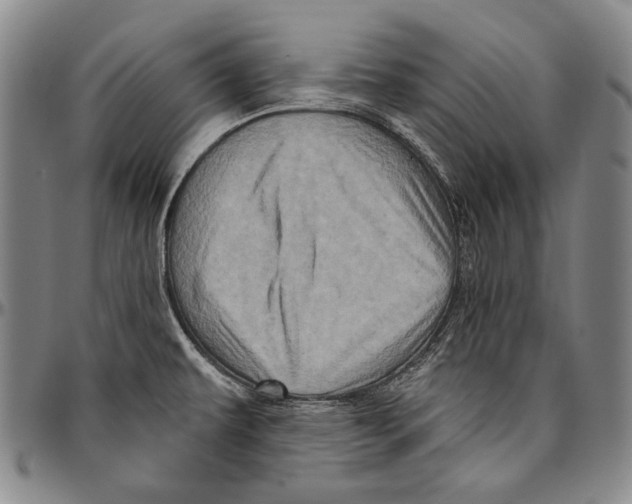 X0000096471479200802211138