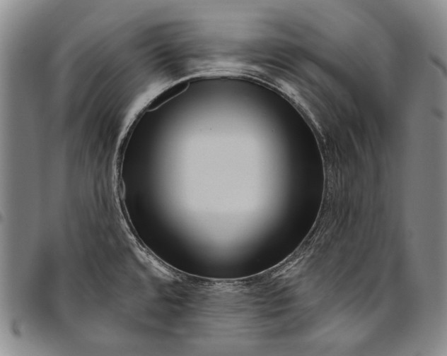 X0000096471480200802211138