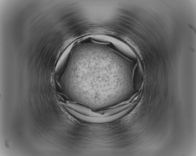 X0000096471481200802211138