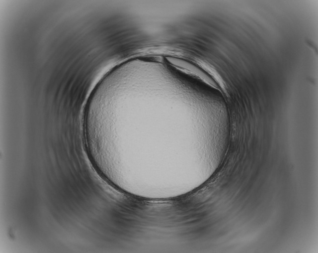 X0000096471483200802211138