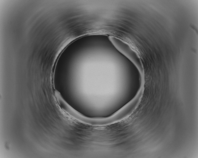 X0000096471484200802211138