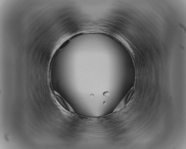 X0000096471485200802211138