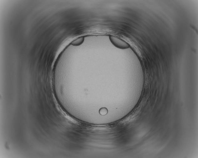 X0000096471486200802211138