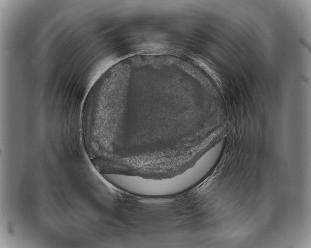 X0000096471487200802211138