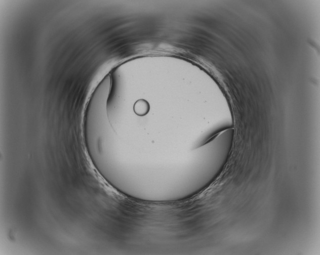 X0000096471488200802211138