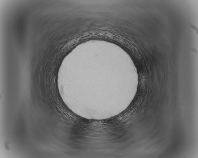 X0000096471489200802211137