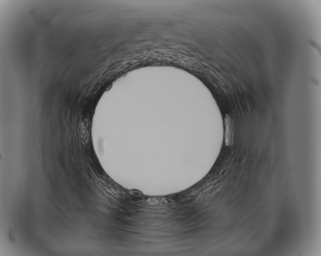 X0000096471491200802211137