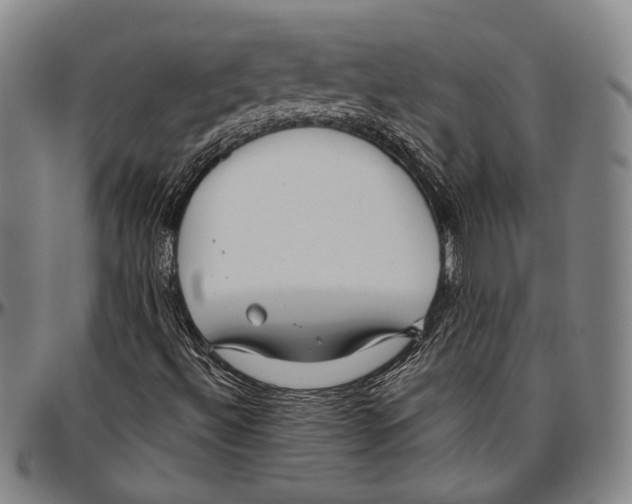 X0000096471492200802211137